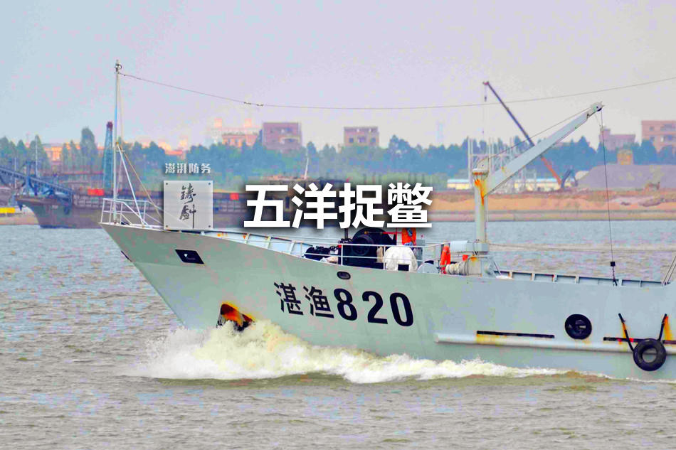 中国海军船只概览，中国海军船只概览概览，实力与荣耀的展现