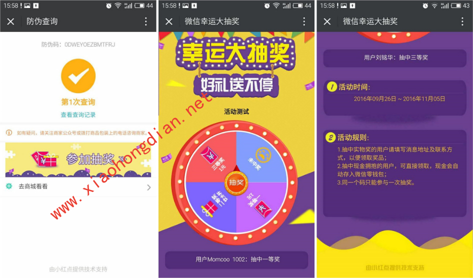 一码一肖一特一中揭秘