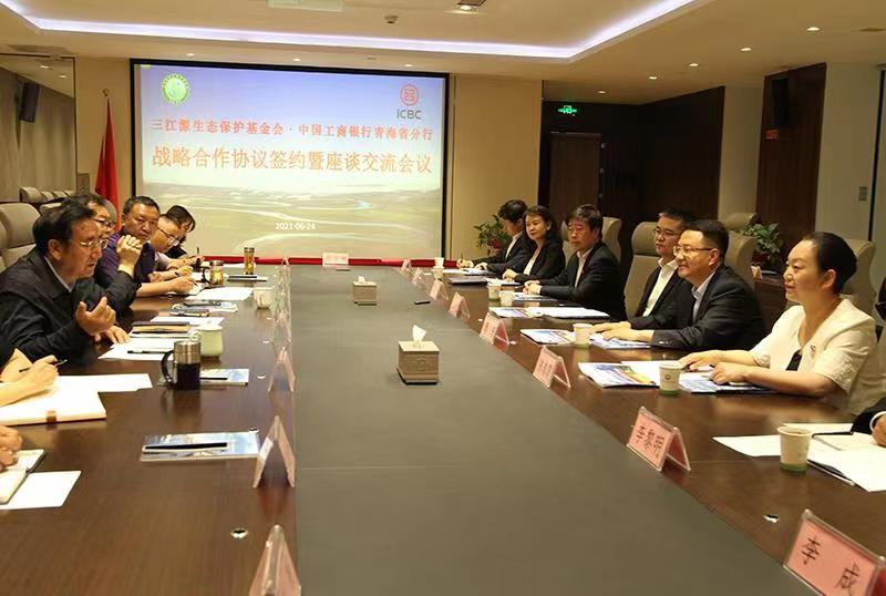 中国国际战略研究基金会官网，深度解析与前瞻展望，中国国际战略研究基金会官网深度解析与未来展望