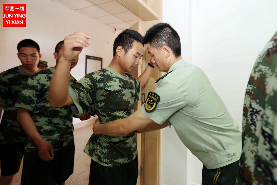 军考招生信息平台，连接考生与军事教育的桥梁，军考招生信息平台，连接考生与军事教育的桥梁