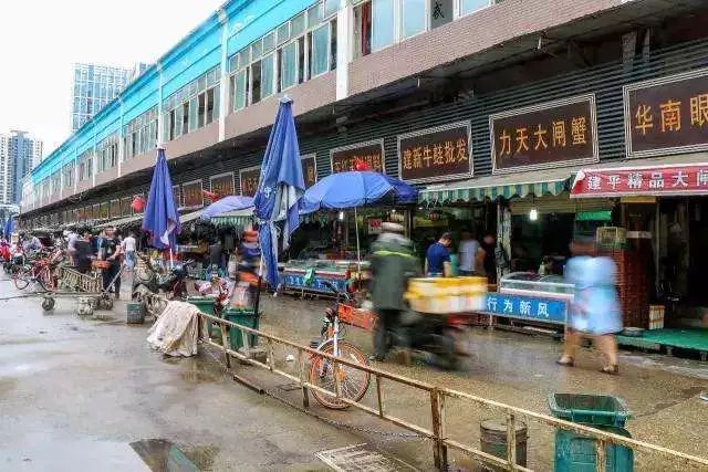 华南海鲜市场老板，创业历程与经营智慧，华南海鲜市场老板，创业历程与经营之道