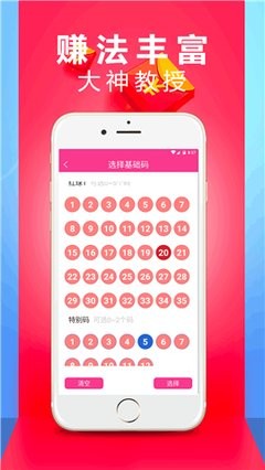 探索王中王中特一肖，揭秘背后的故事与魅力，揭秘王中王中特一肖背后的故事与独特魅力