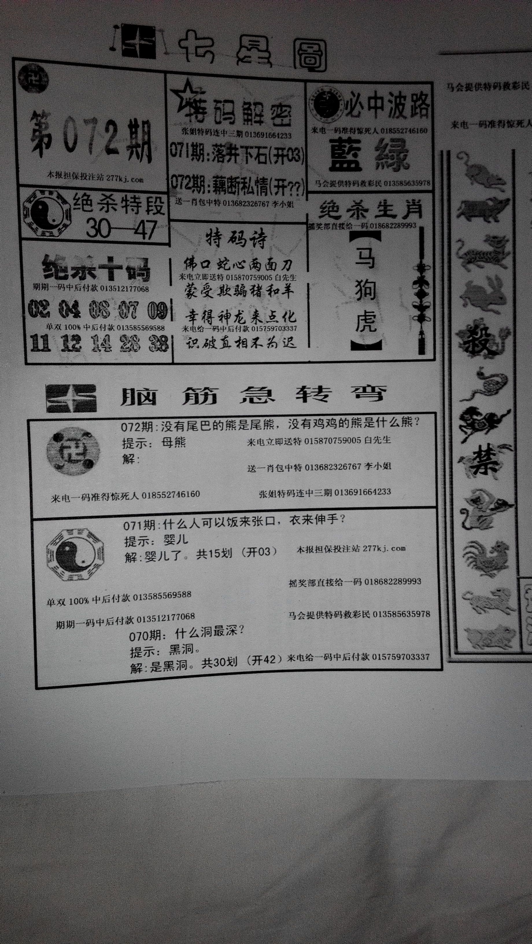 王中王191期指一生肖——探寻背后的文化魅力与生肖奥秘，探寻生肖文化魅力与奥秘，王中王生肖揭秘
