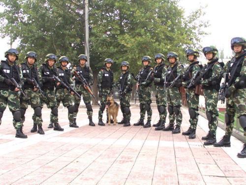 中国人民武装警察部队的职务概述，中国人民武装警察部队职务概述简介
