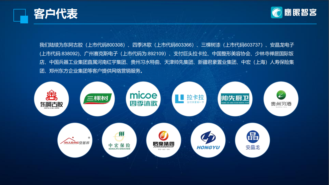 全球鹰营销系统，引领企业走向成功的关键力量，全球鹰营销系统，助力企业走向成功的核心引擎