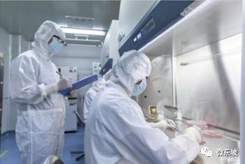 美国西部大开发时期的美国政策，美国西部大开发时期的政策概览