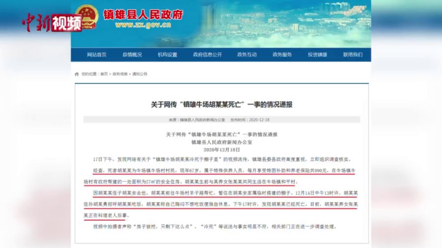 镇雄新闻最新消息今天，镇雄新闻今日最新消息速递