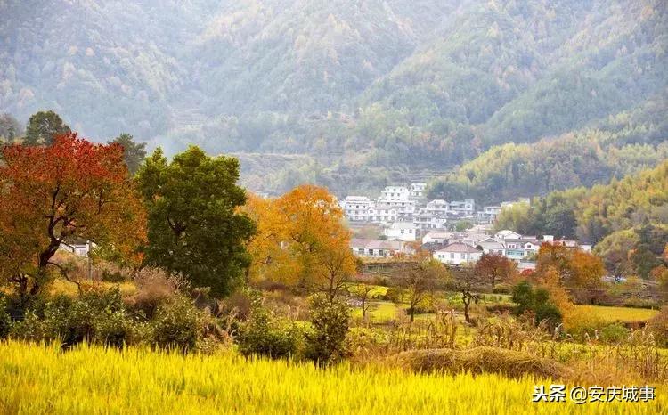 全国停办报刊名单及其背后的考量，全国停办报刊名单背后的考量与审视