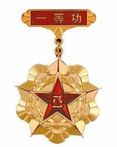 共和国勋章待遇，荣誉与权益的彰显，共和国勋章待遇，荣誉与权益的至高彰显