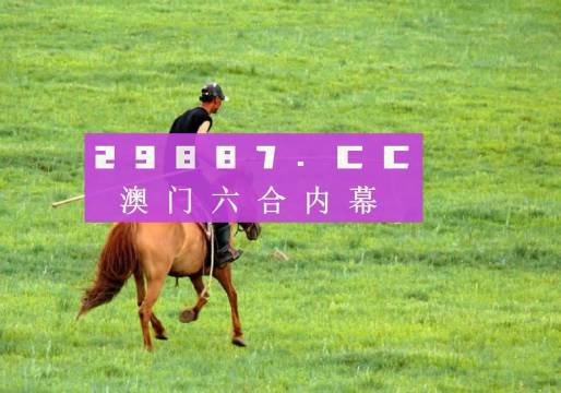 澳门精准一肖一码一澳门，探索背后的故事与魅力，澳门精准一肖一码背后的故事与魅力探索