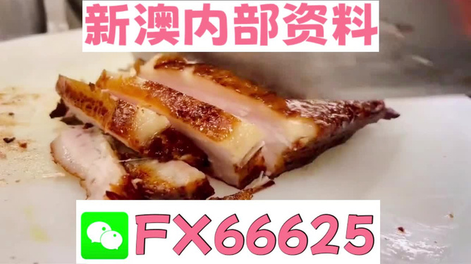 新奥长期免费资料大全，深度挖掘与探索，新奥长期免费资料深度挖掘与探索大全