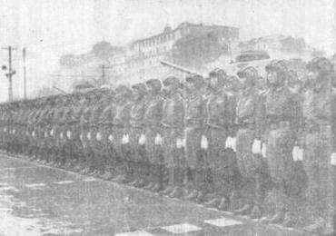 各国阅兵式正步，传统仪式与现代风采的交融，全球阅兵式正步，传统与现代交融的仪式风采