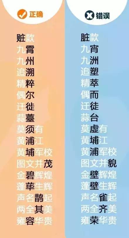 王中王平特一肖全年无错——精准预测的魅力与实力，王中王平特一肖，全年无错预测的魅力与实力展现