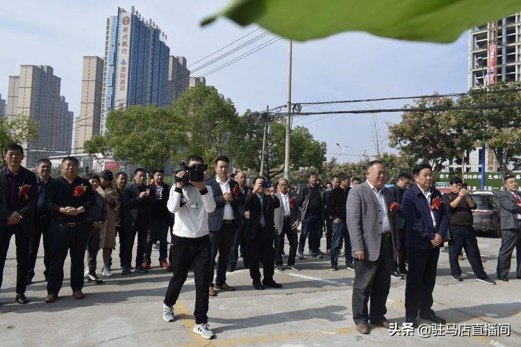 凤凰网新闻广告，创新与精准营销的完美结合，凤凰网新闻广告，创新与精准营销的巅峰融合