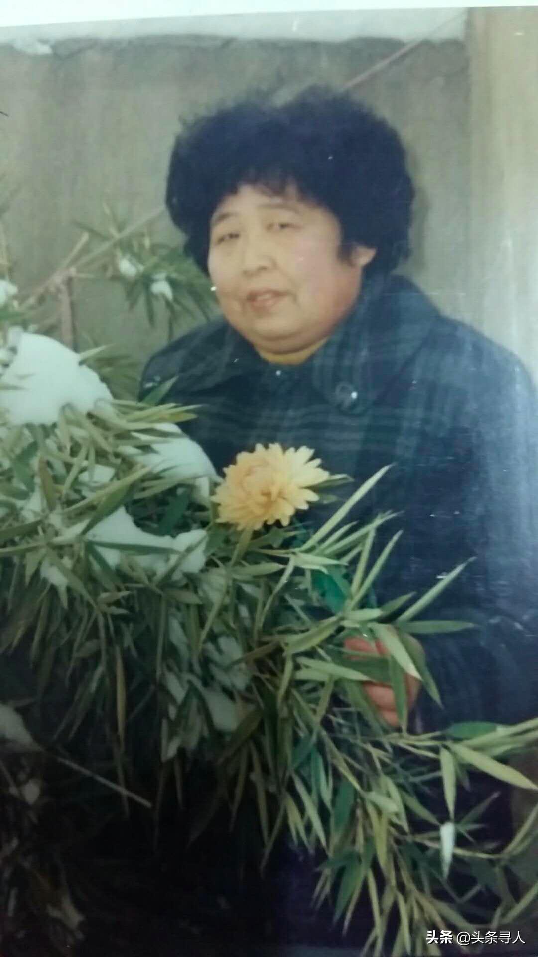 江苏今日的新闻头条，聚焦江苏发展，展现多元活力，江苏今日新闻头条，聚焦发展活力，展现多元魅力