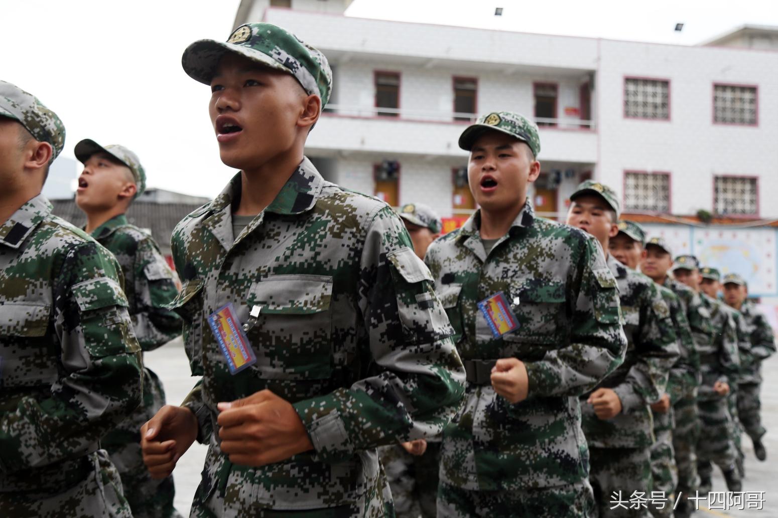新兵新训感悟，磨砺意志，铸就未来，新兵新训感悟，磨砺意志，塑造未来战士