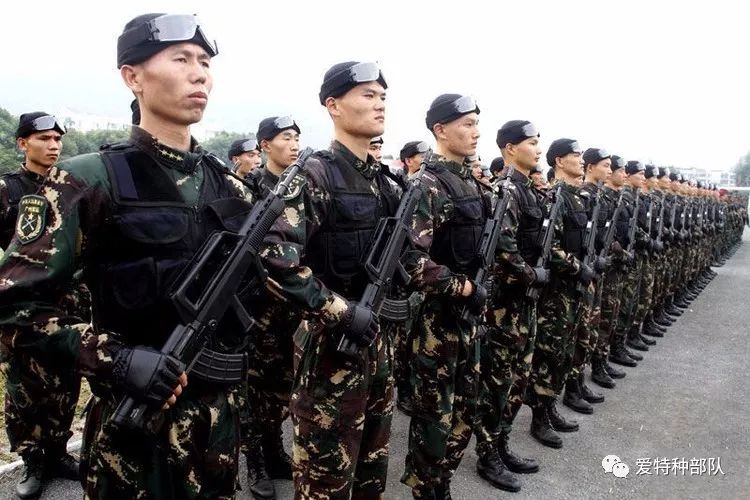 中国特种部队排名，实力与荣耀的象征，中国特种部队排名，实力与荣耀的象征解析