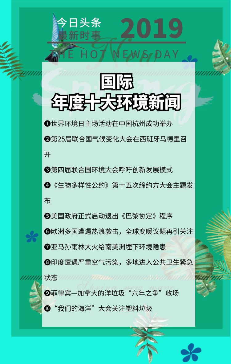 今日十大新闻热点深度解析，今日十大新闻热点深度解析与评论