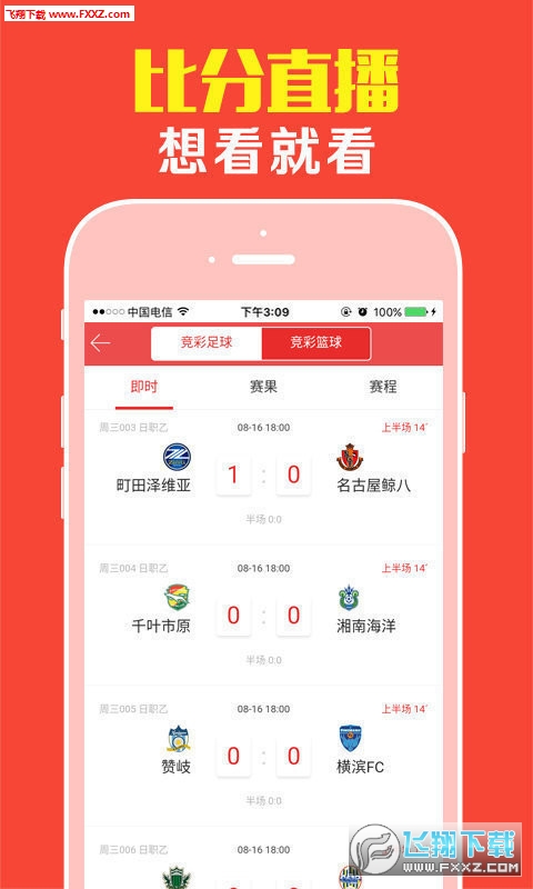 王中王精选一肖一，探寻背后的故事与意义，王中王精选一肖一背后的故事与意义探寻