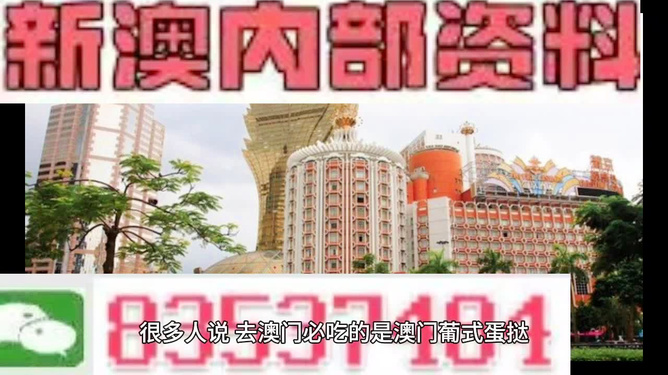 澳门精准的资料大全，探索与解读，澳门精准资料大全，深度探索与解读