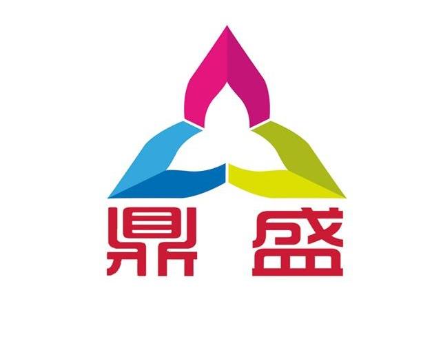 鼎盛平台官网，探索卓越服务的核心优势，鼎盛平台官网，卓越服务的核心优势探索