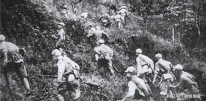 海南岛登岛战役战例分析，海南岛战役战例深度解析