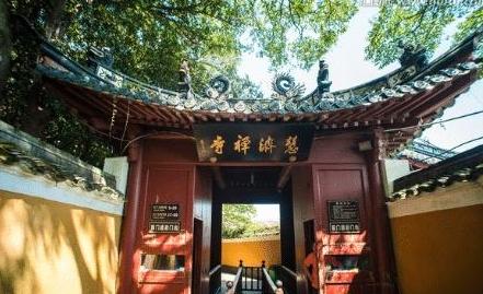 海天参考消息电子版在线阅读，探索新闻资讯的新境界，海天参考消息电子版在线阅读，新闻资讯新境界探索