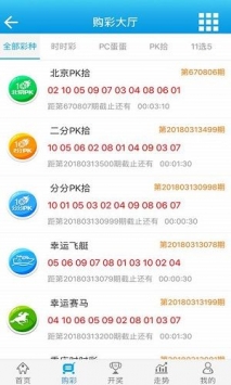 澳门资料大全正版资料查询器，探索与解析，澳门正版资料查询器，深度探索与解析