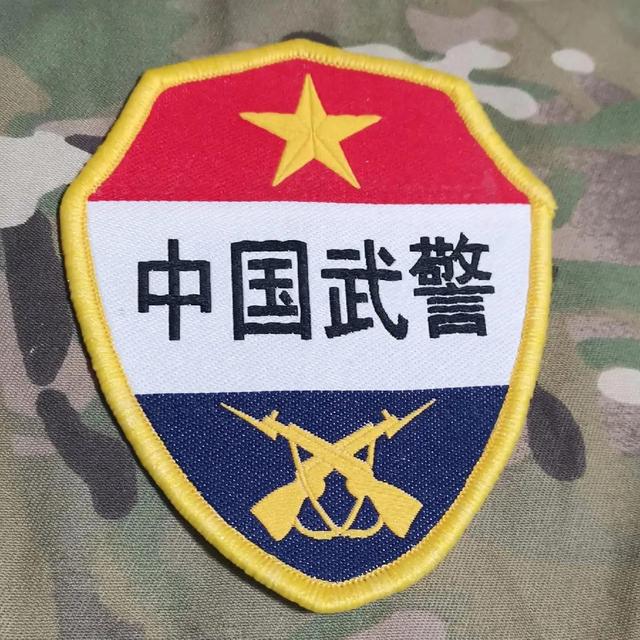 武警臂章21式，荣耀的象征与时代的印记，武警臂章21式，荣耀的象征，时代的印记