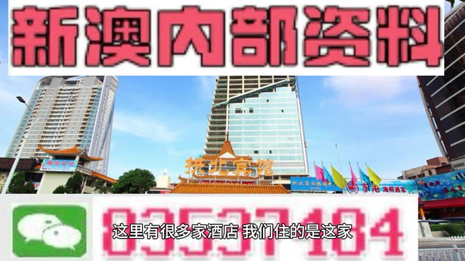 新澳正版资料免费提供，探索与启示，新澳正版资料免费探索，启示与分享