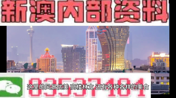 探索未来，澳门免费精准资料的深度解读与预测（至2025年），澳门未来展望，深度解读与预测免费精准资料至2025年