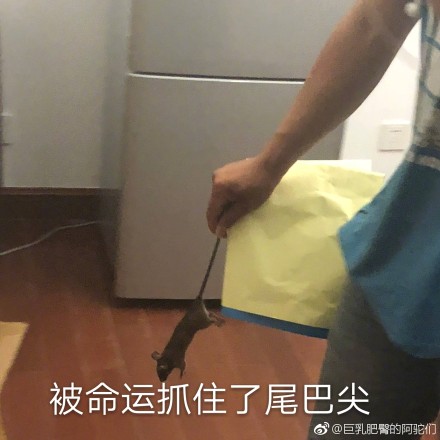 裤裆掏枪表情包，网络时代的独特符号，裤裆掏枪表情包，网络时代的流行符号