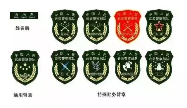 中国人民武装警察部队组织机构图，构建强大的国家武装力量之柱，中国人民武装警察部队组织机构图，国家武装力量的坚实支柱