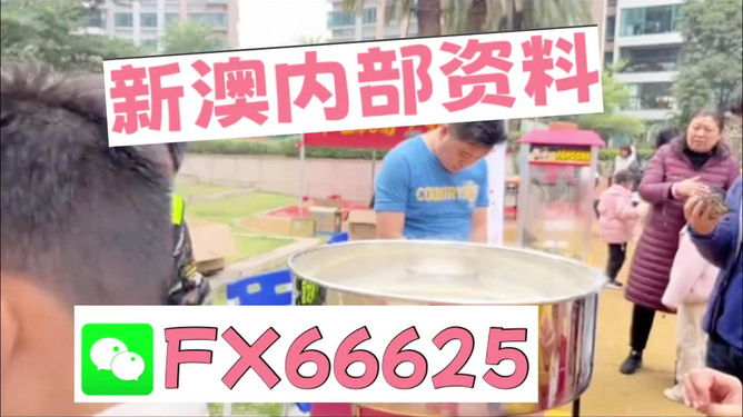 澳门正版免费全年资料大全与精彩旅游团体验，澳门正版全年资料大全与精彩旅游团体验之旅