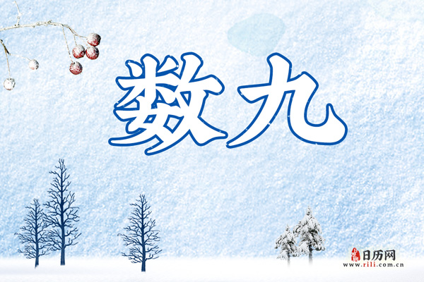 今日几九？探寻2022年的数九寒天，探寻2022年数九寒天，今日几九？