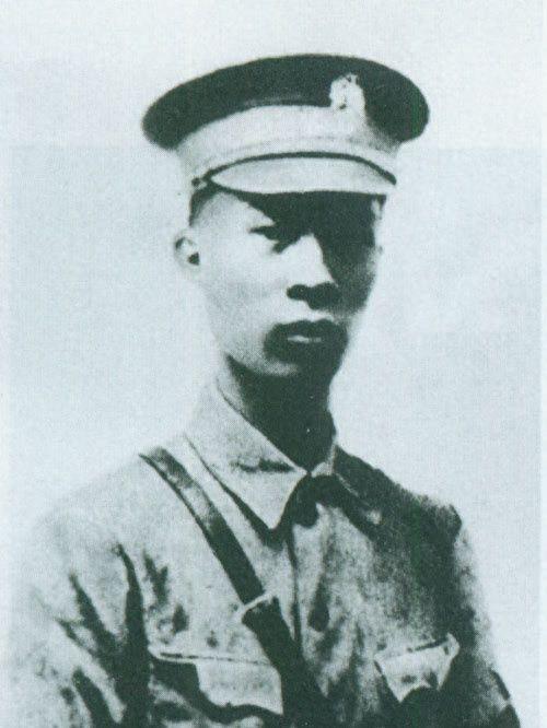 历史贡献概览