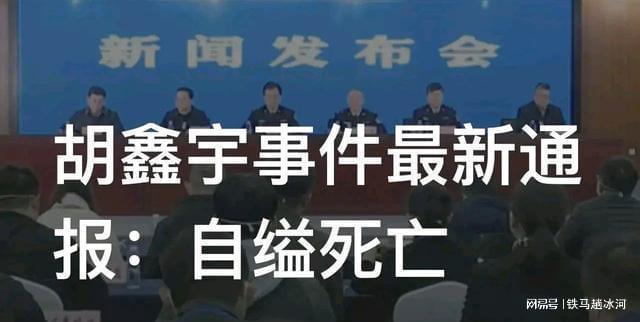 胡鑫宇的消失与家庭因素，深度探讨其背后原因，胡鑫宇消失背后的家庭因素深度剖析