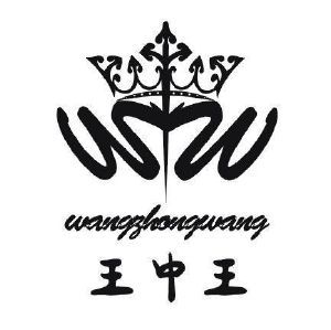 王中王精选一肖头，探寻成功之道的独特视角，王中王精选一肖头，独特视角探寻成功之道