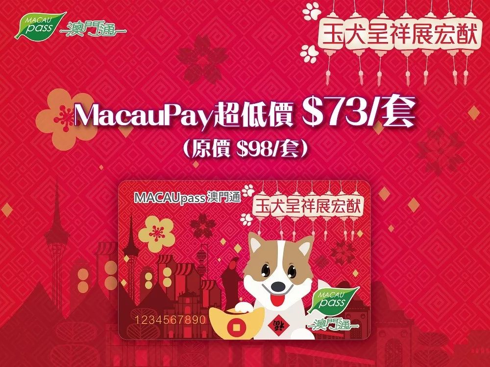 澳门正版资料大全资料生肖卡，探索生肖文化的魅力与深度，澳门正版资料大全揭秘生肖文化魅力与深度探索