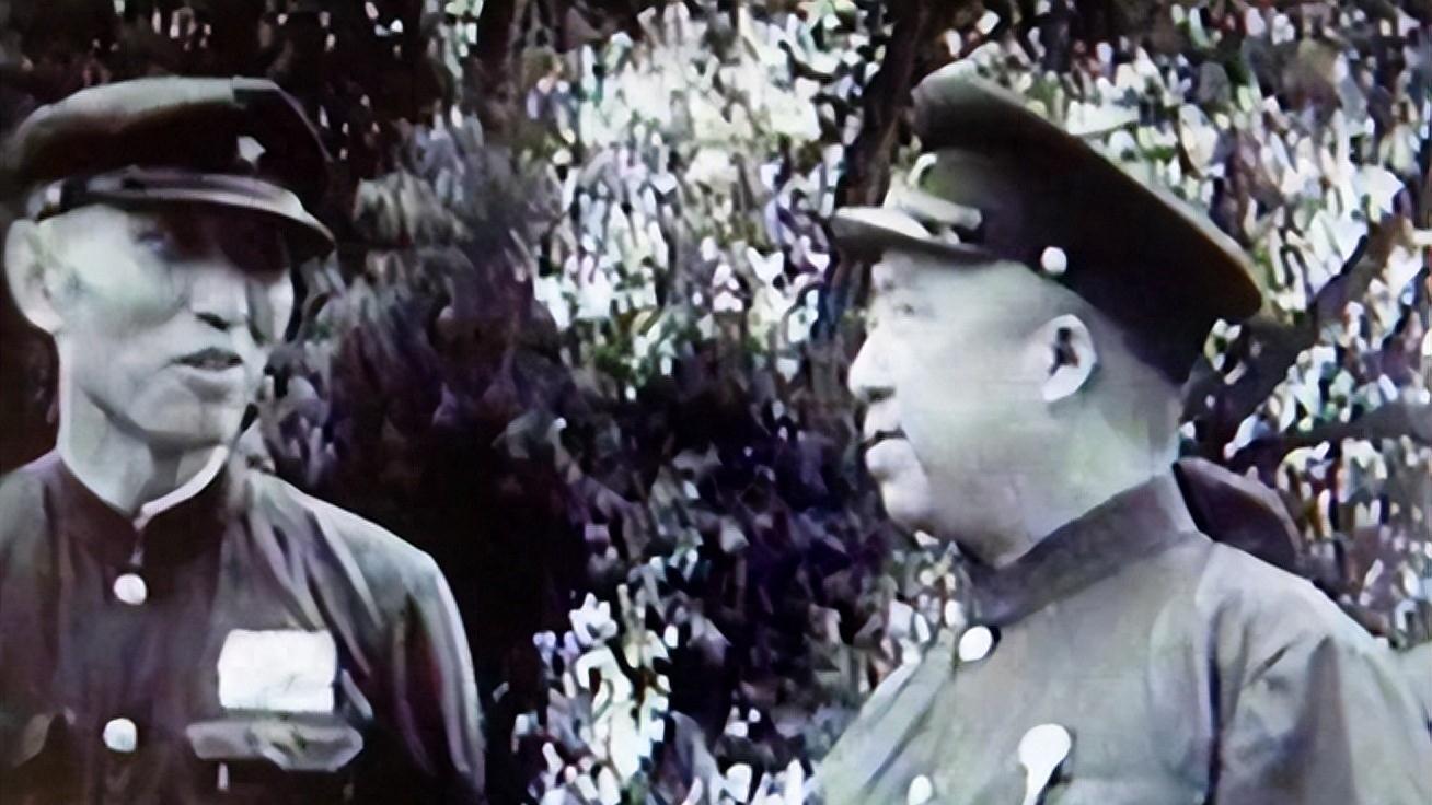 武警部队参谋长助理，职责与担当，武警部队参谋长助理的职责与担当解析