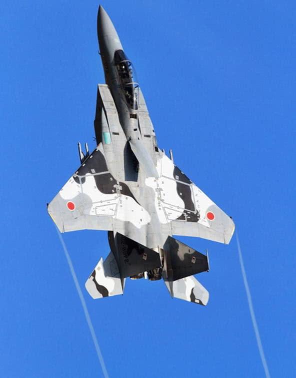 日本心神战机，性能与实力的探讨，日本心神战机，性能与实力深度剖析