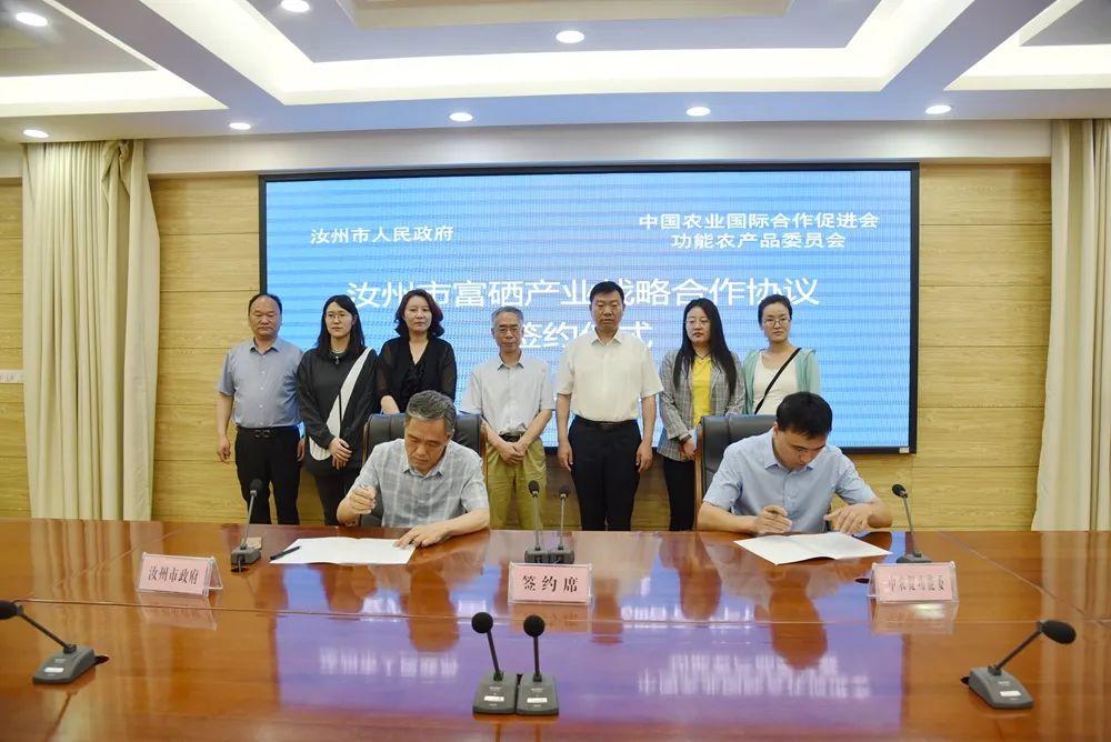 中国国际战略研究所，探索中国外交的未来之路，中国国际战略研究所揭示中国外交未来之路的探索方向