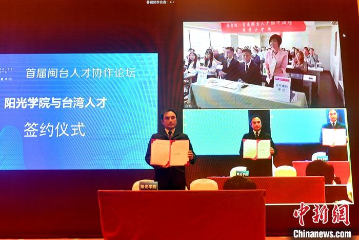 台湾人才引进政策最新消息深度解析，台湾人才引进政策最新消息深度解读与分析