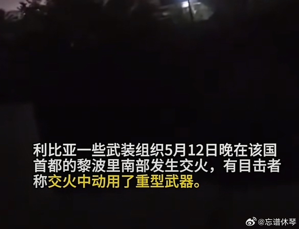 利比亚的武装组织概况，利比亚武装组织概览