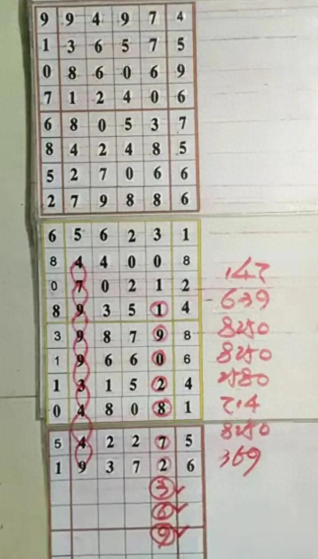 今天排列五精准号码，探索数字世界的奥秘与魅力，探索数字世界的魅力，今日排列五精准号码揭秘