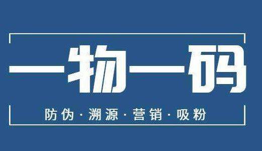 一码一特，数字时代的独特标识与无限可能，数字时代的独特标识，一码一特与无限可能探索
