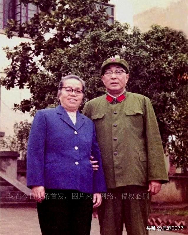 第14集团军的历史沿革与现代名称揭秘，揭秘第14集团军的历史沿革与现代名称起源