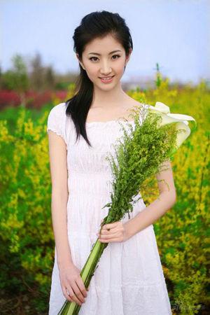 新澳门综合走势图，探索与解读，新澳门综合走势图，深度探索与解读