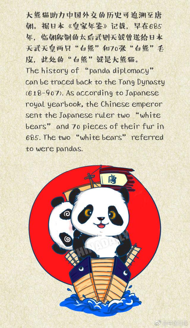 美国海军的熊猫——独特的友谊与力量的象征，美国海军熊猫，独特友谊与力量的标志