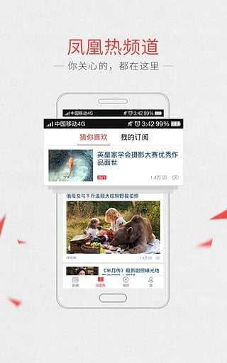 凤凰新闻网新闻，深度报道与多元视角的展现，凤凰新闻网，深度报道与多元视角的新闻展现